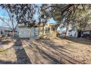 Photo #4: 5394585 Listing