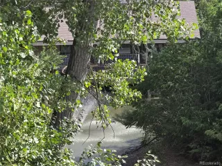 Photo #5: 5439793 Listing