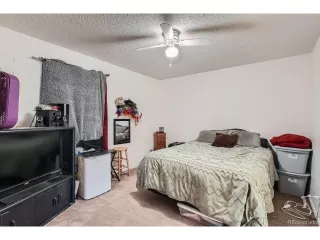 Photo #6: 5453905 Listing 