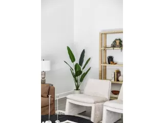 Photo #3: 5467736 Listing 