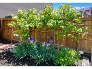 Photo #3: 5477668 Listing 