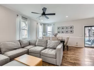 Photo #4: 5504209 Listing 