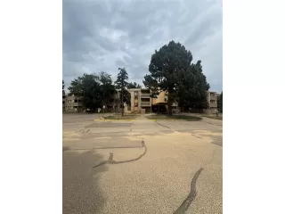 Photo #3: 5580082 Listing 