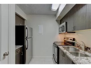 Photo #5: 5648537 Listing 