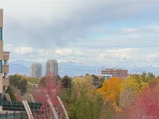 Photo #3: 5659826 Listing