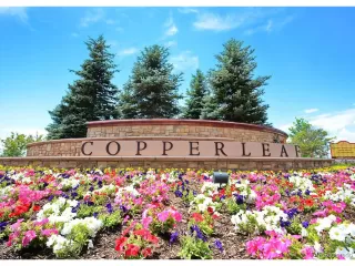 Photo #4: 5666926 Listing