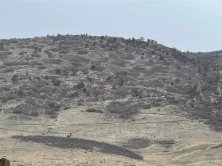 Photo #3: 5675832 Listing