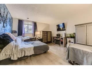 Photo #5: 5686326 Listing 