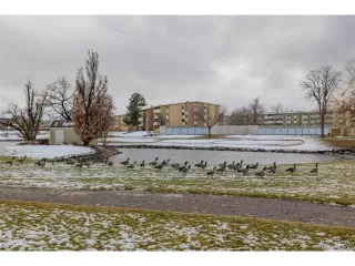 Photo #5: 5717402 Listing