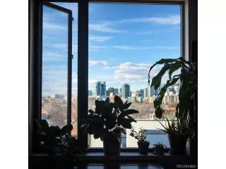 Photo #6: 5910713 Listing