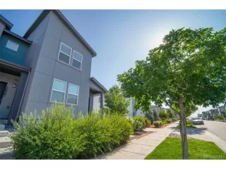 Photo #4: 5953515 Listing