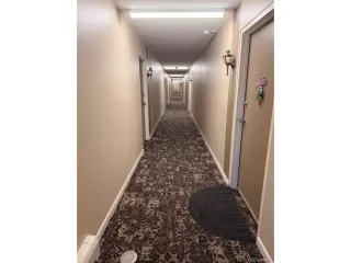 Photo #2: 6041504 Listing 