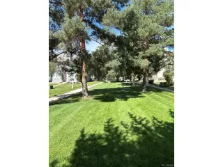 Photo #6: 6075785 Listing