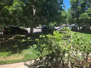 Photo #4: 6100941 Listing 