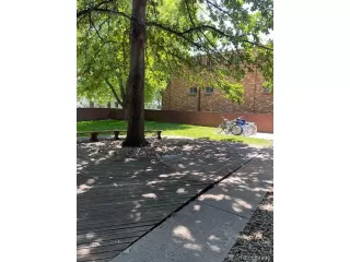 Photo #4: 6194234 Listing