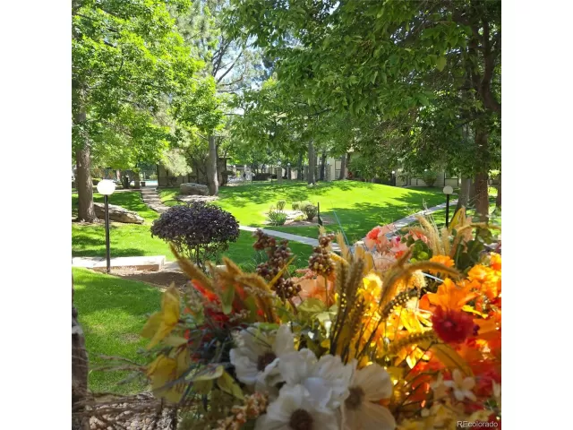 MLS: 6319838 Condo For Sale