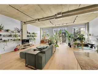 Photo #4: 6370904 Listing 