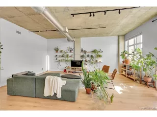 Photo #6: 6370904 Listing 