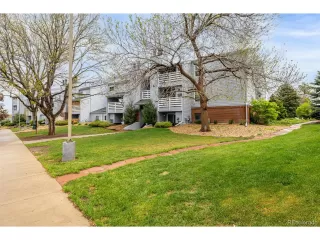Photo #4: 6474845 Listing