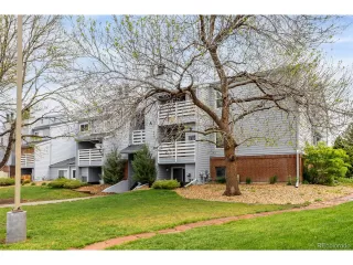 Photo #5: 6474845 Listing
