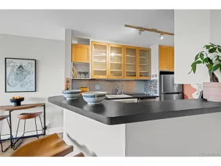 More Details about MLS # 6565288 : 800 N WASHINGTON ST 908 DENVER CO 80203