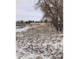 Photo #4: 6777352 Listing