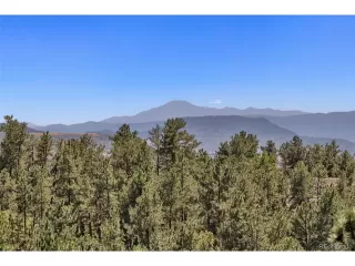 Photo #2: 6835365 Listing 