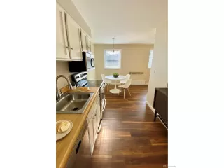 Photo #3: 7066467 Listing 