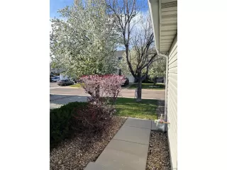 Photo #2: 7205597 Listing