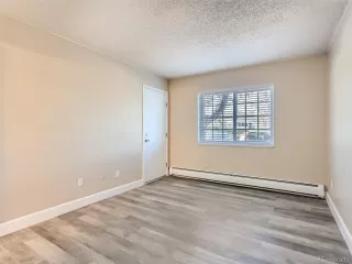 Photo #6: 7242504 Listing