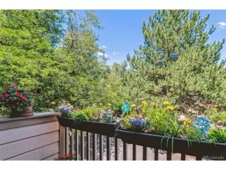 Photo #2: 7242676 Listing 