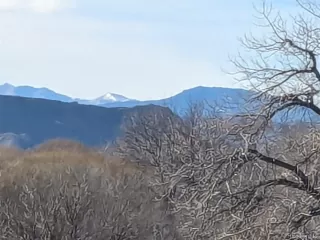 Photo #6: 7422312 Listing 