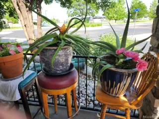 Photo #4: 7434910 Listing 