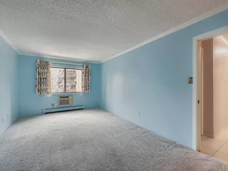 Photo #5: 7579438 Listing 