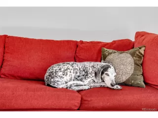 Photo #5: 7736468 Listing