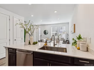 Photo #6: 7765306 Listing 