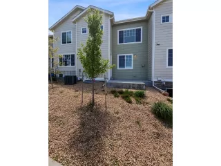 Photo #4: 8044202 Listing