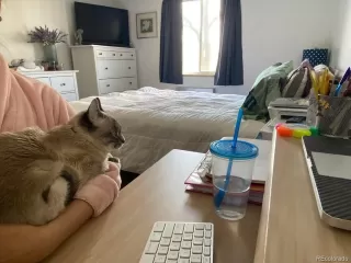 Photo #4: 8262422 Listing