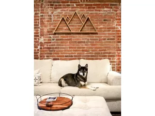 Photo #6: 8304927 Listing 