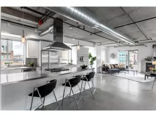 More Details about MLS # 8379513 : 1610 LITTLE RAVEN ST 511 DENVER CO 80202