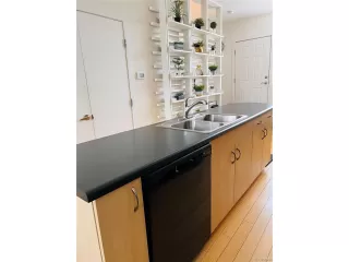 Photo #5: 8418457 Listing