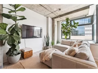 Photo #4: 8473042 Listing 