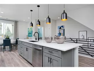 More Details about MLS # 8548220 : 10884 LYRIC ST LONE TREE CO 80134