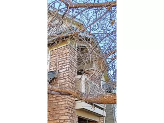 Photo #2: 8611414 Listing