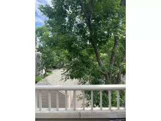 Photo #3: 8656967 Listing 