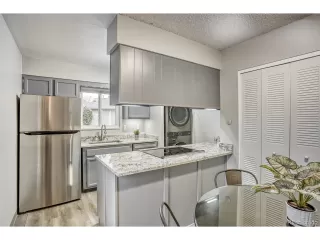 Photo #4: 8788221 Listing 