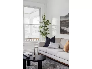 Photo #3: 8882834 Listing 