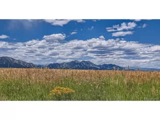 Photo #6: 8932735 Listing