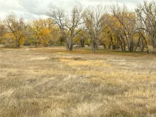 Photo #6: 9158715 Listing