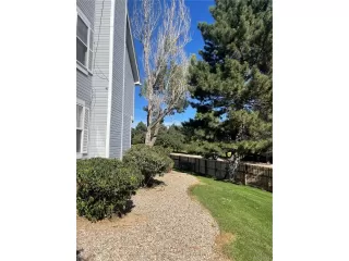 Photo #4: 9201593 Listing